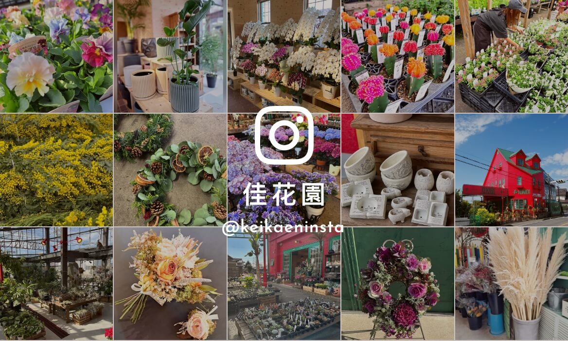 佳花園 インスタグラム