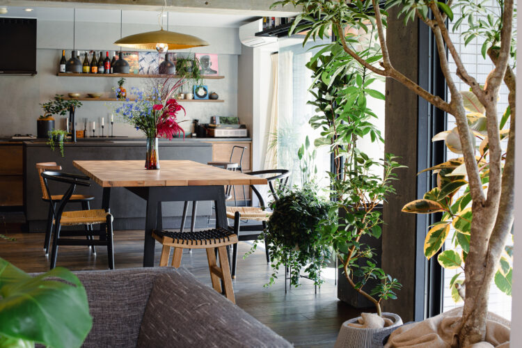 邸宅の観葉植物コーディネート