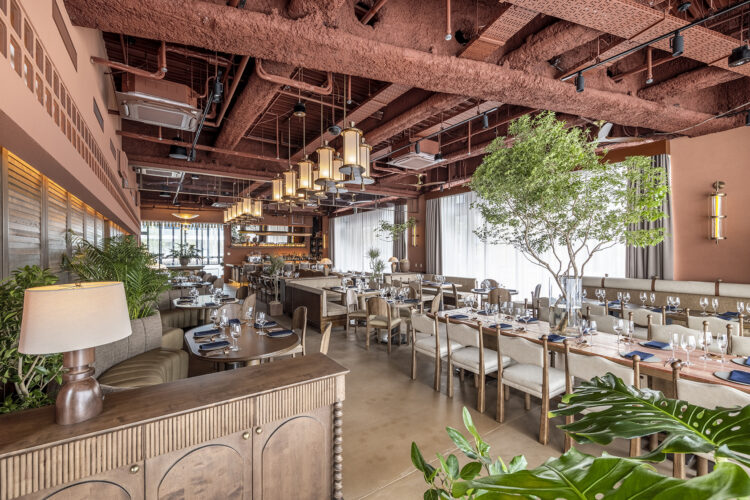 名古屋市中村区の飲食店 観葉植物コーディネート