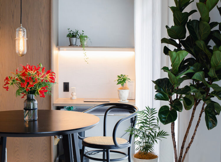 観葉植物コーディネート