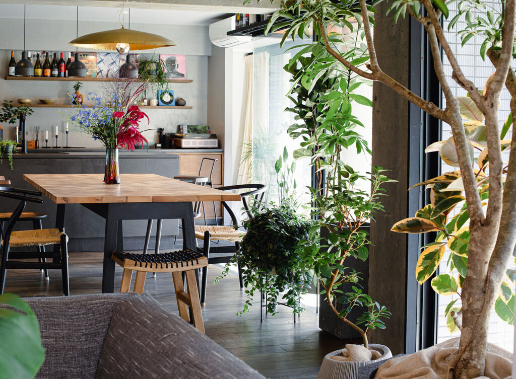 名古屋市瑞穂区のM様邸宅　観葉植物コーディネート