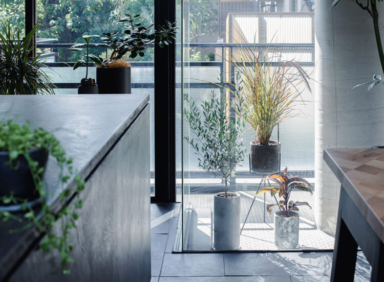 観葉植物コーディネート