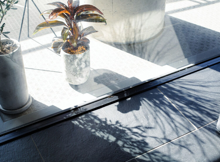 観葉植物コーディネート