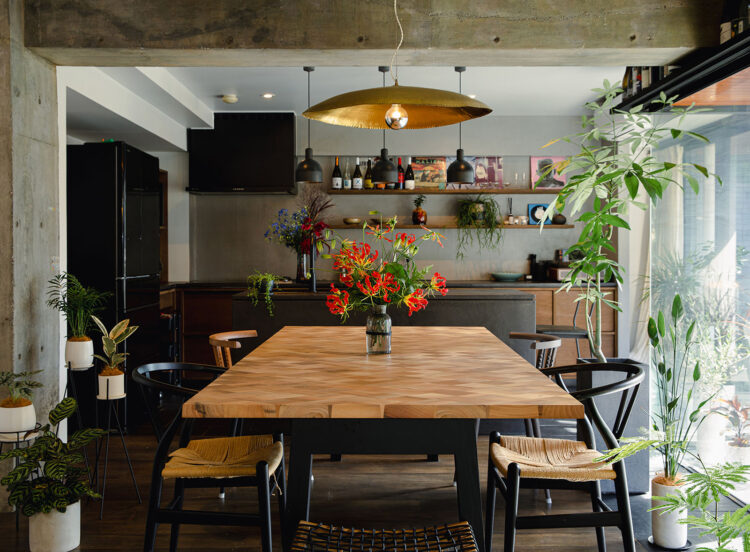 観葉植物コーディネート