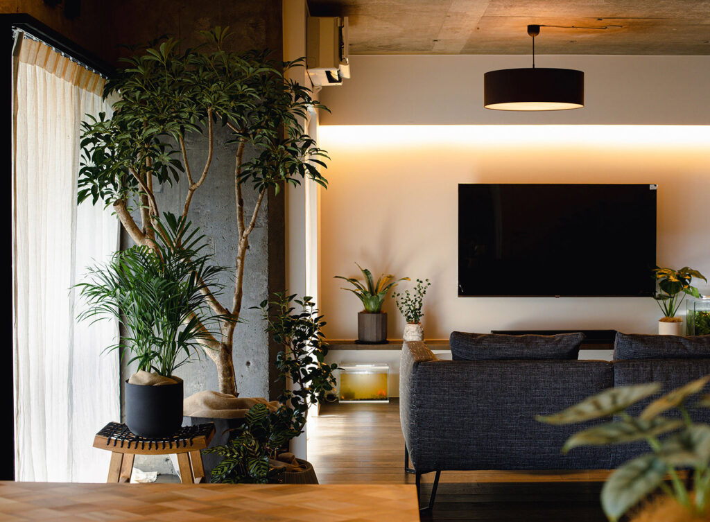 観葉植物コーディネート