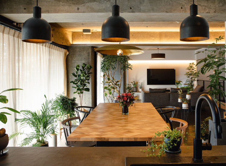 観葉植物コーディネート