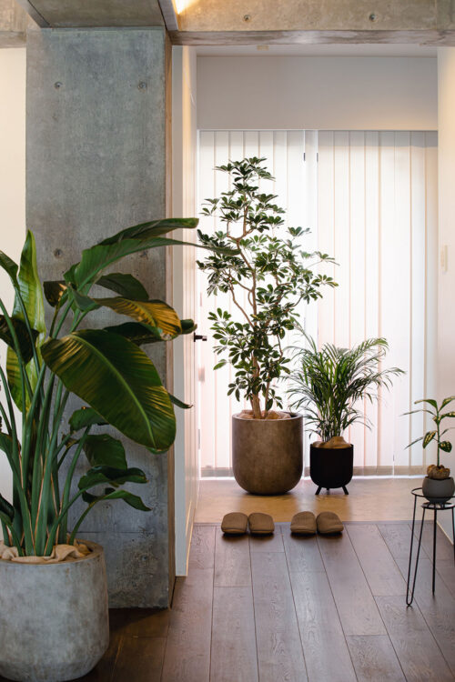 観葉植物コーディネート