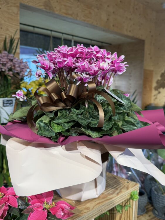 冬のギフト特集