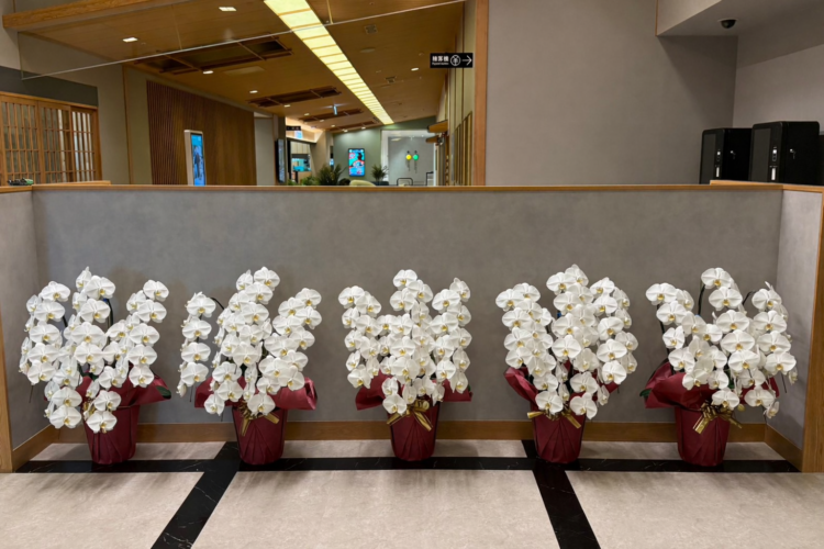 複合施設リニューアルオープンに伴う装花・植物のおまとめサービス事例